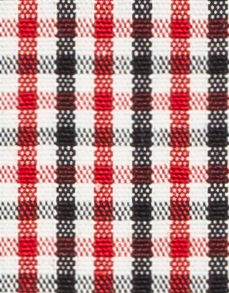N2-3754113 Red/Black Tattersall