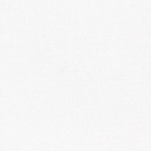 N3-3752933 White 100's Broadcloth