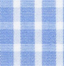 N3-3753439 Blue Check