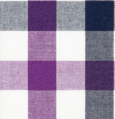 N3-3753454-SWATCH N3-3753454 Purple/Navy Check