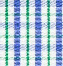 N3-3753458 Blue/Green Check