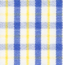 N3-3753459 Blue/Yellow Check
