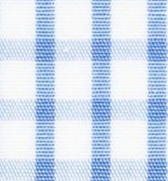 N3-3753460 Lt Blue Check