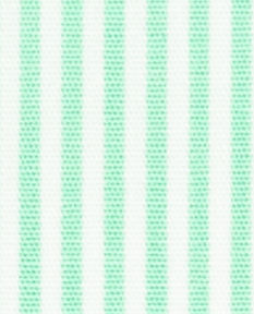 N3-3753476 Mint Bengel Stripe