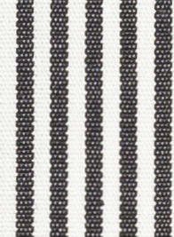 N3-3753482 Black Bengel Stripe