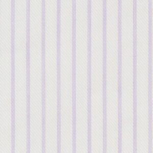 N3-3858203 Violet Stripe