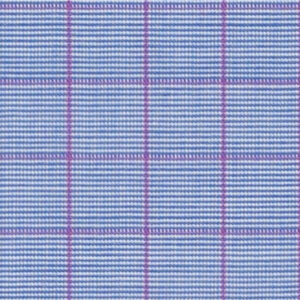 N3-3858206 Blue Violet Check