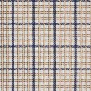 N3-3858210 Tan Navy Check