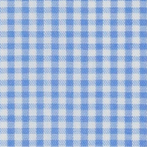 N3-3858212 Sky Blue Gingham Check