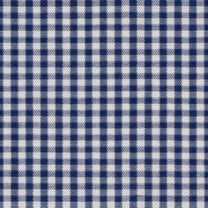 N3-3858214 Blue Gingham Check