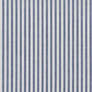 N3-3858215 Blue Stripe