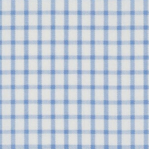 N3-3858216 Sky Blue Check