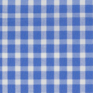 N3-3858220 Sky Blue Check