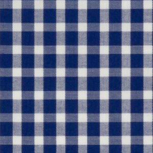 N3-3858222 Navy Check