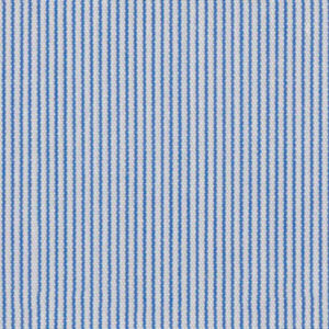 N3-3858283 Blue Hairline Stripe