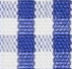 N3-3858290 Blue Gingham Check