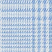 N3-3858294 Blue Prince of Wales Check