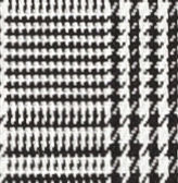 N3-3858297 Black Prince of Wales Check