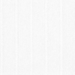N3-3858316 White on White Stripe