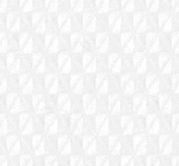 N3-3858318 White on White Fancy Twill