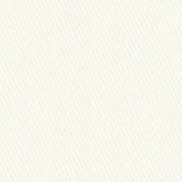 N3-3858326 Cream Twill Solid