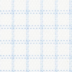 N4-3753216 Lt Blue Non-Iron Check