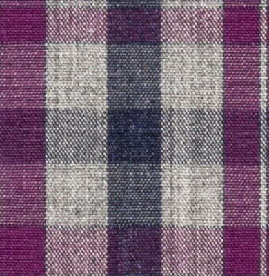 N4-3753563-SWATCH N4-3753563 Violet/ Navy Check