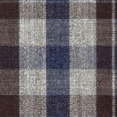 N4-3753564-SWATCH N4-3753564 Brown/Navy Check