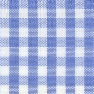 N4-3862512 Blue Gingham Check