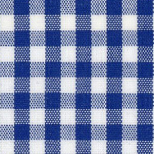 N4-3862513 Navy Gingham Check