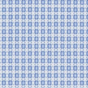 N5-3658418 Blue White Box Jacquard
