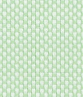 N5-3658483 Mint Oxford
