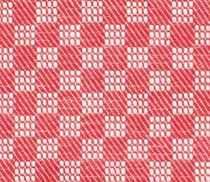N5-3658510 Salmon Check