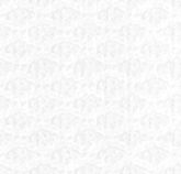 N5-3658524 White Oval