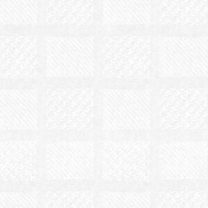 N5-3658527 White Fancy Check
