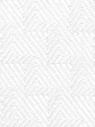 N5-3658534 White Step Twill