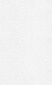 N5-3658539 White Self Stripe