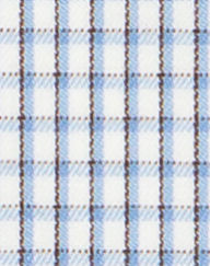 N5-3753273 Lt Blue/Brown Graph Check Twill