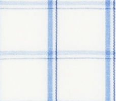 N5-3753281 Blue Broadcloth Check