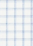 N5-3753283 Blue Broadcloth Check