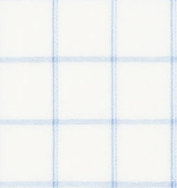 N5-3753285 Blue Broadcloth Check