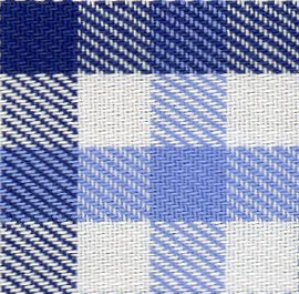 N5-3962791 Blue Navy Check