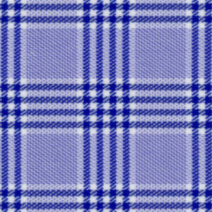 Blue Navy Check
