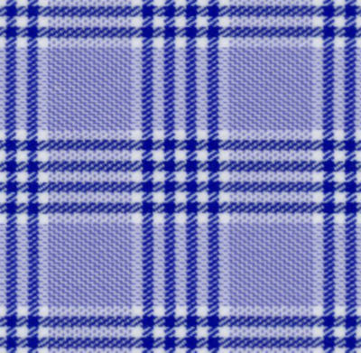 N5-4074727-SWATCH Blue Navy Check