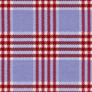 Blue Red Check