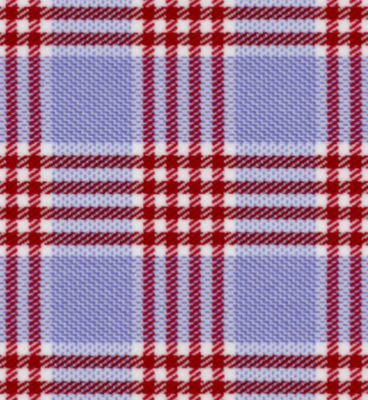 N5-4074729-SWATCH Blue Red Check