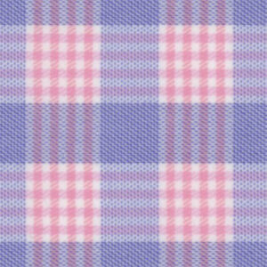 Blue Pink Check