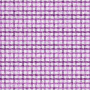 N5-4074738 Violet Check