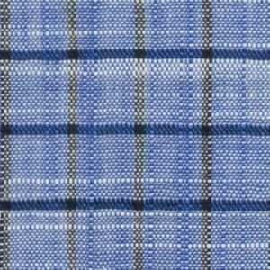 N6-3857815 Blue Black Check