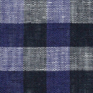 N6-3857820 Purple Navy Check